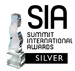 Summit Award - Silver Silver Summit Award